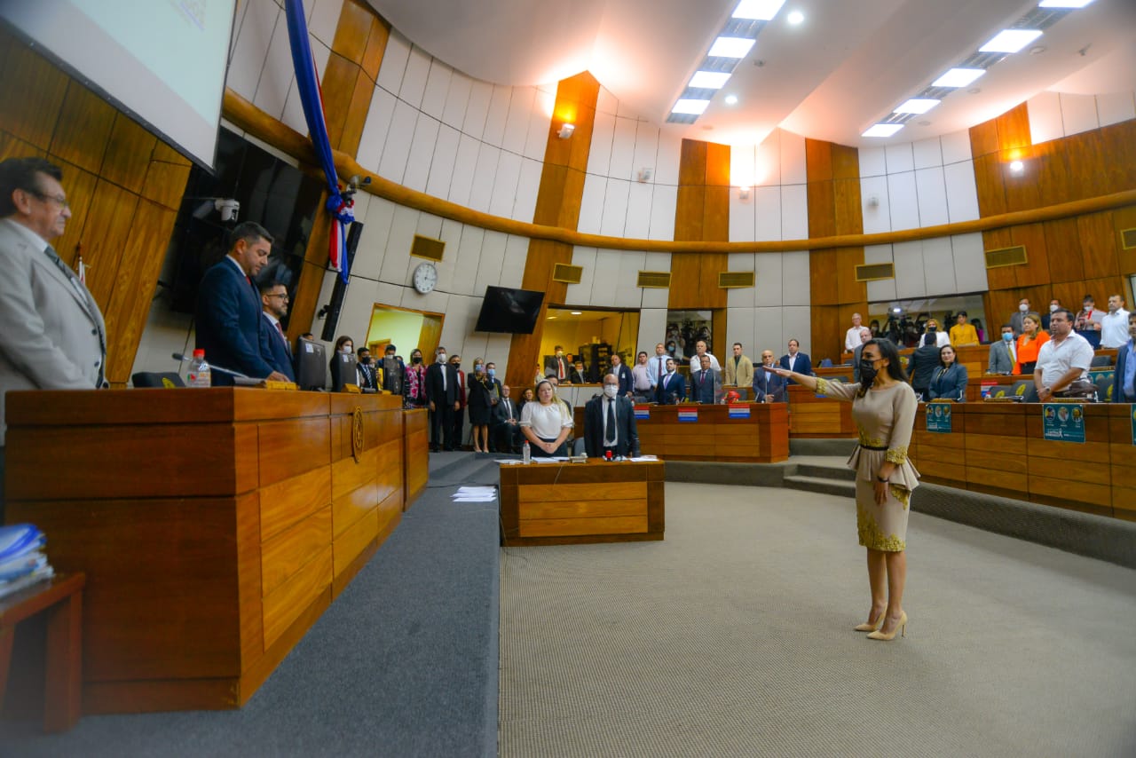 Guadalupe Aveiro asume en reemplazo de Juan Carlos Aveiro. (Foto Diputados).