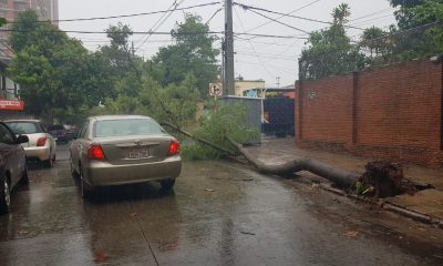 La tormenta causó destrozos en varios lugares. (Gentileza)