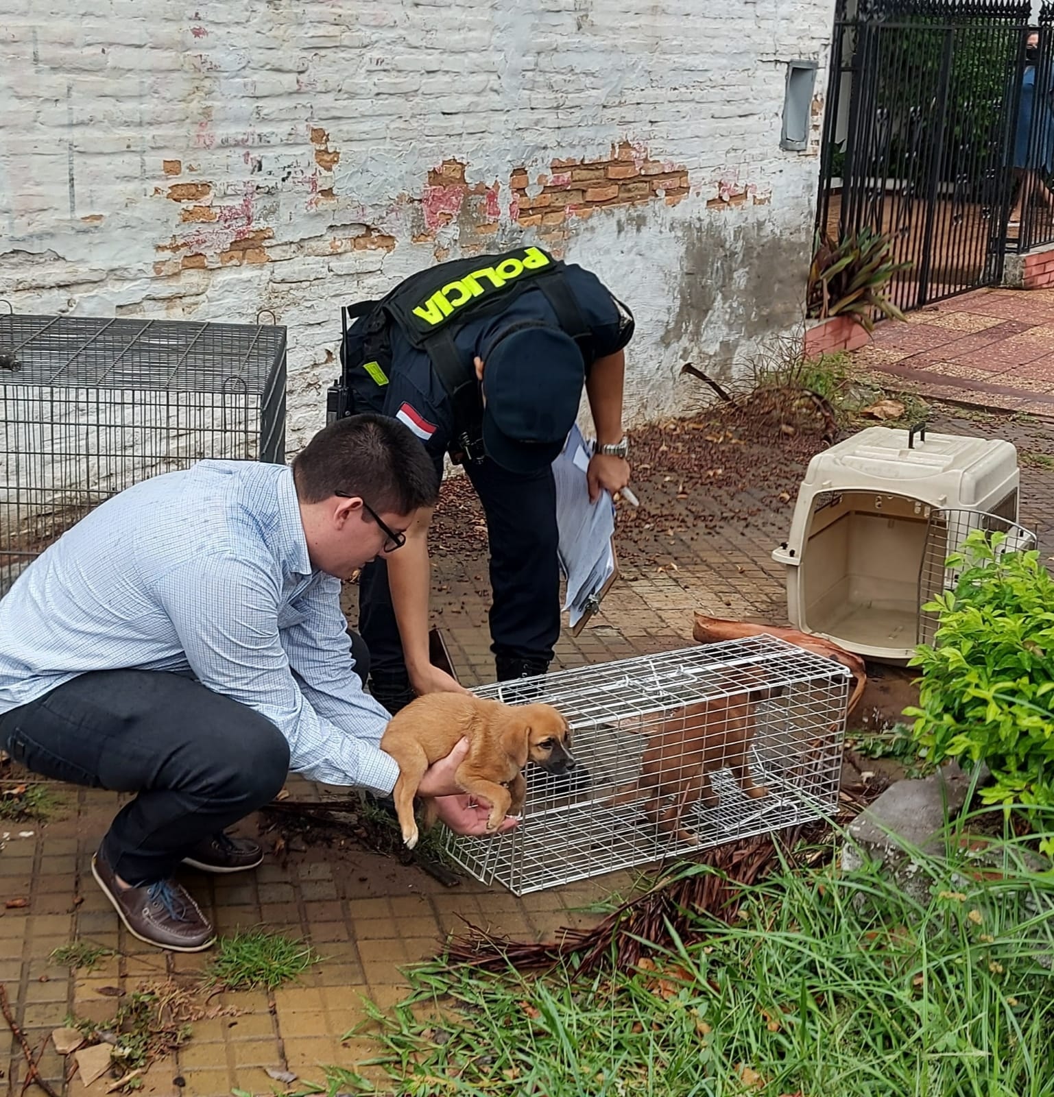 Uno de los animales rescatado. (Foto Ministerio Público)