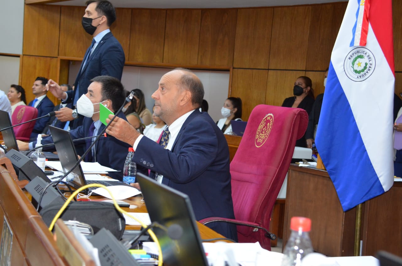 Cámara de Senadores. (Foto Senado).