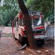 El colectivo fue a parar contra un árbol. (Gentileza)