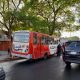 El colectivo que chocó contra un árbol. (Foto @briancaceresv).