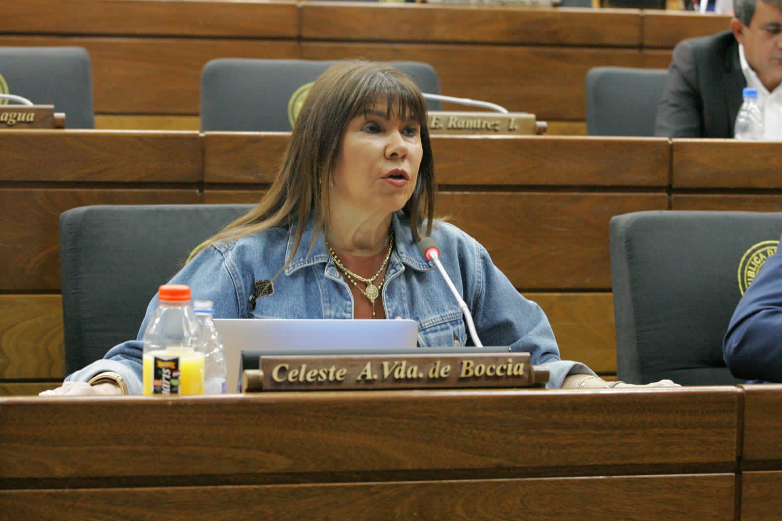 Diputada nacional Celeste Amarilla. Foto: Diputados