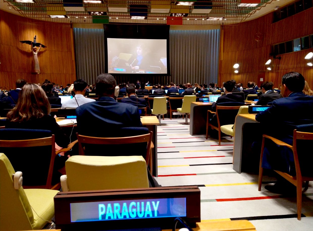 Paraguay fue elegido como miembro de la Junta Ejecutiva de la Entidad de las Naciones Unidas para la Igualdad de Género y el Empoderamiento de la Mujer (ONU Mujeres). Foto: Gentileza.