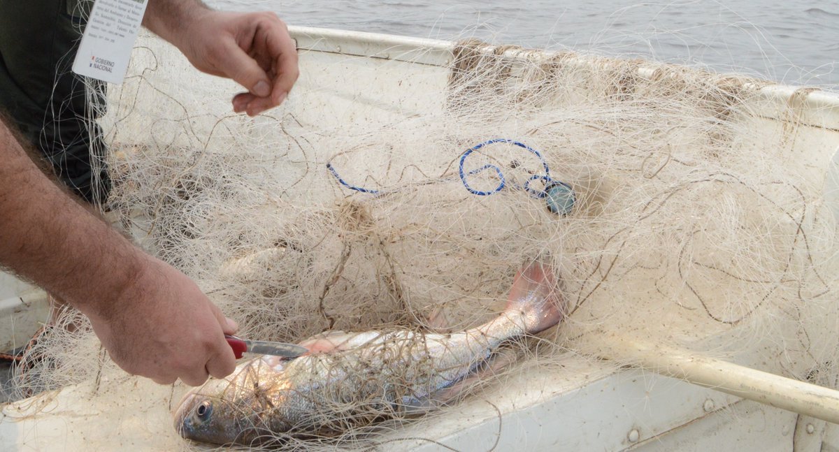 La CONALAYPA entregó al Ministerio del Ambiente más de 1.000 metros de redes de pesca, las cuales fueron extraídas del Lago Ypacaraí. Foto: Gentileza.