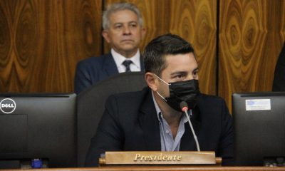 Pedro Alliana, presidente de la Cámara de Diputados. (Foto Diputados).