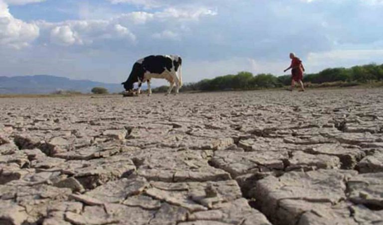 Chile vivió en el 2021 el cuarto año más seco de su historial. Foto: Coprofam.