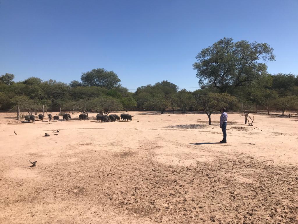 Marcos Ortiz frente a un grupo de taguas. Foto de Fredi Casco