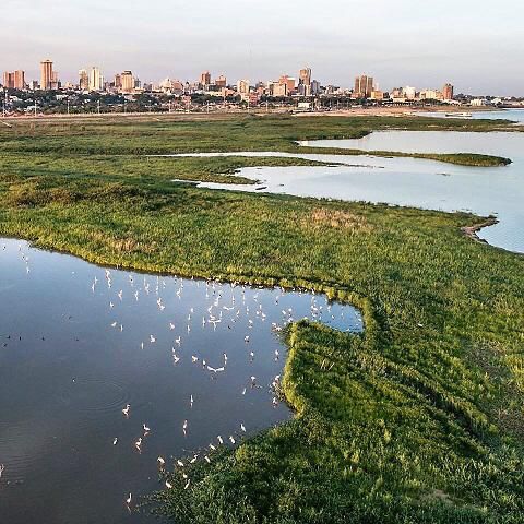 Asunción. Gentileza