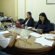 La Comisión de Desarrollo Social, Población y Vivienda de Diputados. Foto: Gentileza..