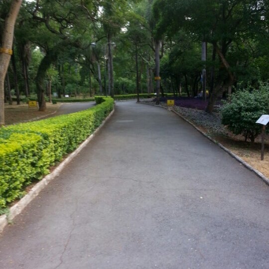 Parque de la Salud de IPS. (Foto Gentileza).