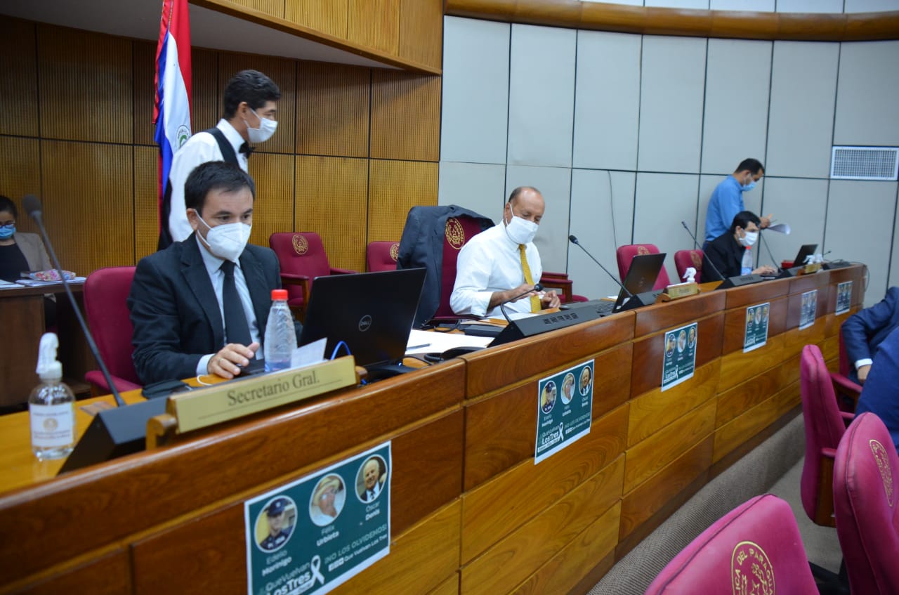 Durante la sesión en la Cámara de Senadores. (Foto Gentileza).