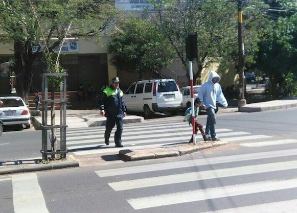 Ponen a disposición manual básico del peatón para fortalecer la seguridad vial. Foto: PMT