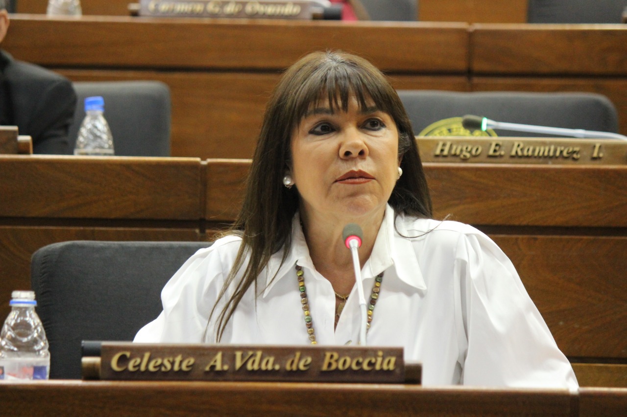 Diputada Celeste Amarilla. Foto: Diputados