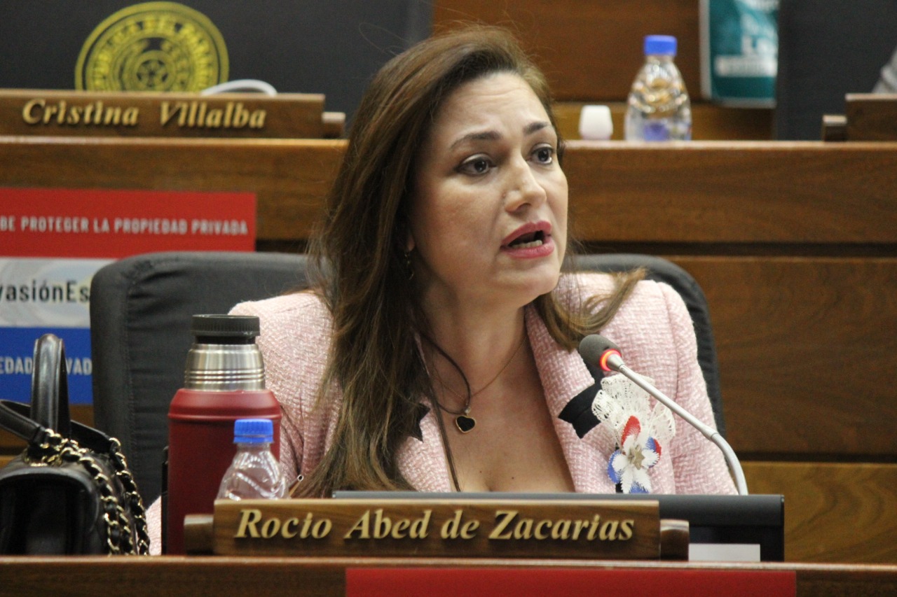 Diputada Rocio Abed. (Foto Diputados).