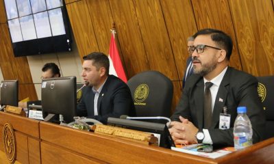 Sesión en la Cámara de Diputados. Foto: Gentileza.