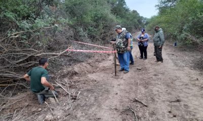 Restos óseos hallados en Ruta de la Leche. Foto: Arnoldo Wiens.