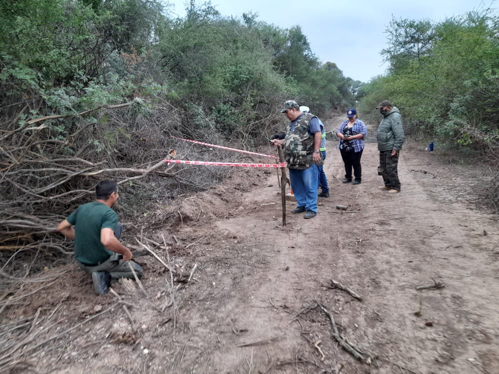 Restos óseos hallados en Ruta de la Leche. Foto: Arnoldo Wiens.