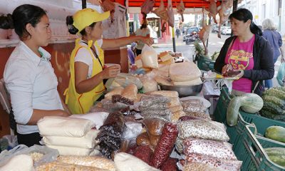 La feria del INDERT arrancará el próximo 12 de mayo. Foto: INDERT.