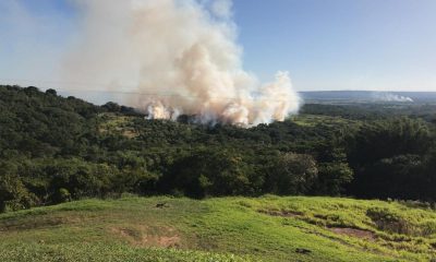 El fuego se extiende en una zona boscosa. Foto desde el Escondido