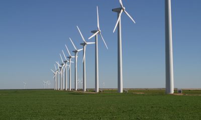 La energía eólica es la energía que se obtiene a partir del viento, es decir, es el aprovechamiento de la energía cinética de las masas de aire. Foto: Wikipedia.