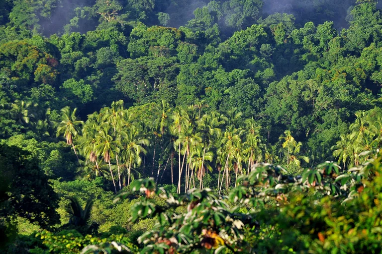 Instan a proteger el medio ambiente. Foto: Infobae