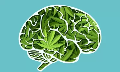 La adicción a la marihuana genera problemas en el proceso cognitivos y psicológicos. Foto: BBC Mundo