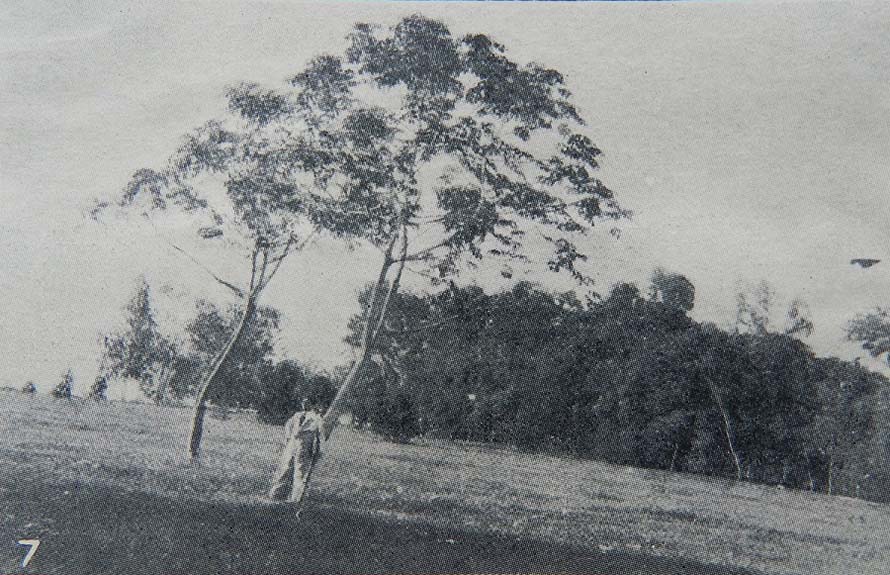 Pradera del Jardín Botánico de Asunción, 1929. El Paraguay contemporáneo
