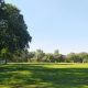 Jardín Botánico de Asunción. Vista actual de la Pradera Recreo. Archivo de la cátedra Historia de la Arquitectura del Paisaje en Paraguay (FADA UNA)