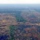 Árboles quemados por un incendio forestal en el departmento de Guaviare, al noroeste de la Amazonia colombiana. Foto: El País