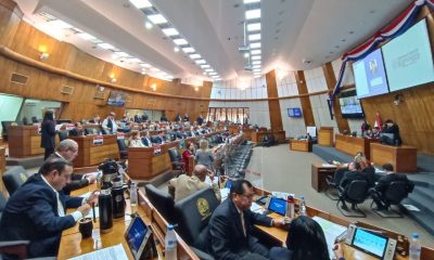 Pleno de la Cámara de Diputados. Foto: Diputados