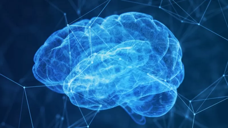 En nuestro cerebro se crean las mismas conexiones con el refuerzo intermitente que con las drogas. Foto: BBC Mundo.