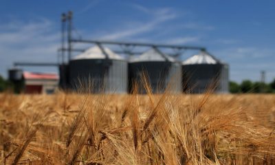 Silos del agronegocio. Imagen de referencia