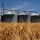 Silos del agronegocio. Imagen de referencia