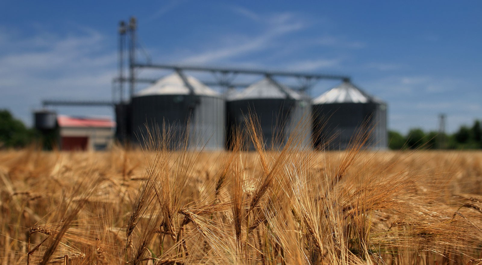 Silos del agronegocio. Imagen de referencia