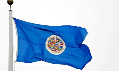 Bandera de la OEA. Foto. Infobae