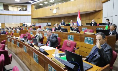 Cámara de Senadores. Foto: Senado