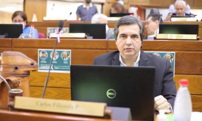 Senador Carlos Filizzola. (Foto Senado).