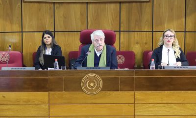 Durante la audiencia pública de la semana pasada. Foto: Senado.