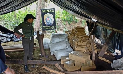 Incautan 1,5 de droga en Concepción. Foto: Gentileza