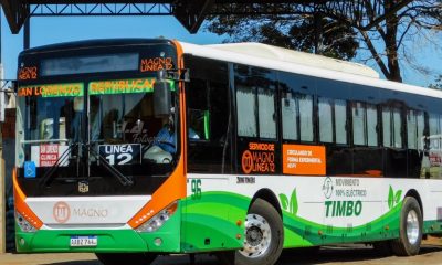 Bus Eléctrico de la empresa Magno. Foto: Gentileza