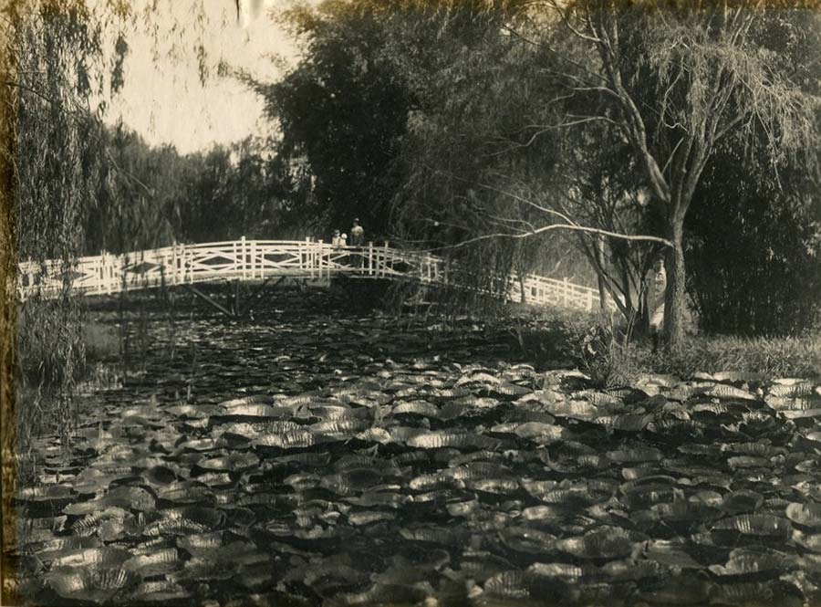 Jardín Japonés en el Jardín Botánico y Zoológico de Asunción, ca. 1920. Fuente: Acervo Milda Rivarola (Imagoteca Paraguay)