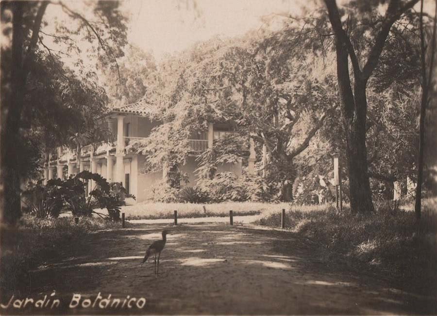 Casa Alta, ca. 1930. Fuente: Portal Guaraní