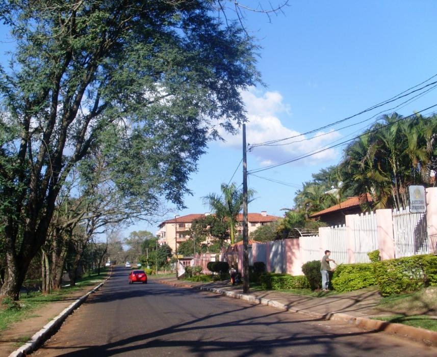 Ciudad del Este - Área 1. Foto: Gentileza.