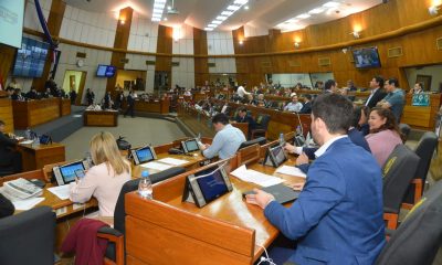 Durante la sesión ordinaria de la Cámara de Diputados. (Foto Diputados).