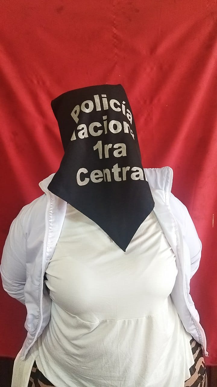 La mujer quedó detenida en la comisaría. Foto: Gentileza