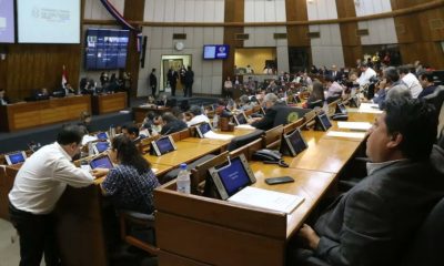 Cámara de Diputados. Gentileza