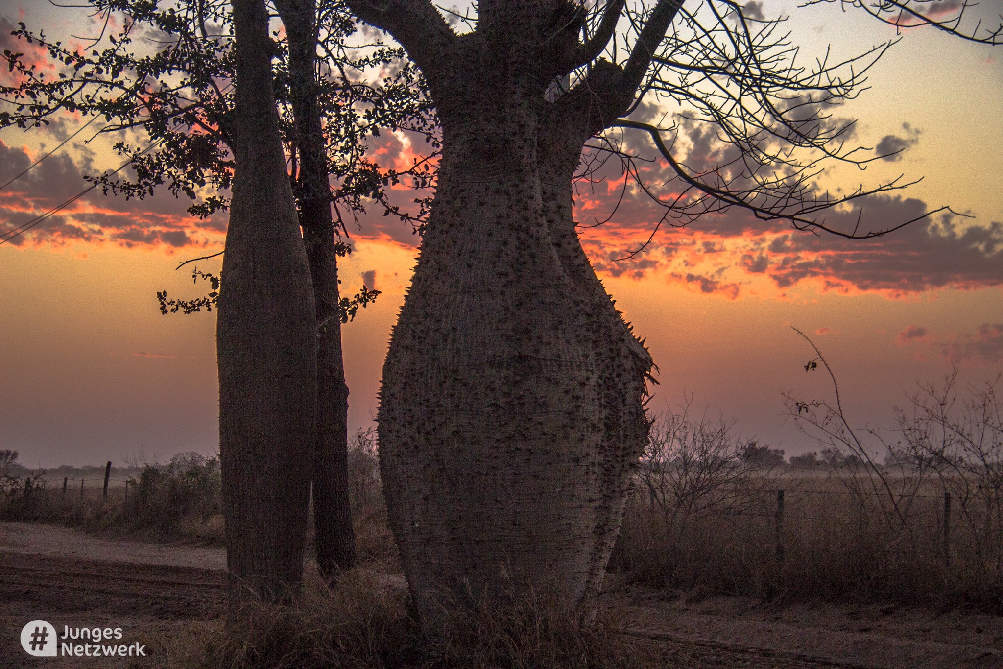 "Samu'u del Chaco paraguayo", fotografía de Josías Romero. Cortesía