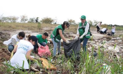 Varios voluntarios participaron de esta minga ambiental en el Banco San Miguel de Asunción. Foto: asuncion.gov.py