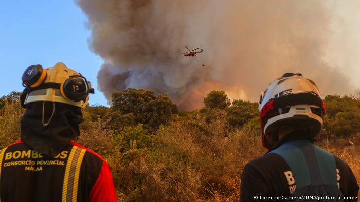 Nueva ola de calor, sequía e incendios en España. Foto: DW